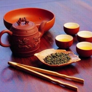 安吉白茶品质高 广受天津茶友青睐
